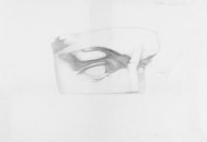 Gyps David eyes, 2004