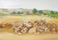 Arab fields in Givat Ahish, 2010