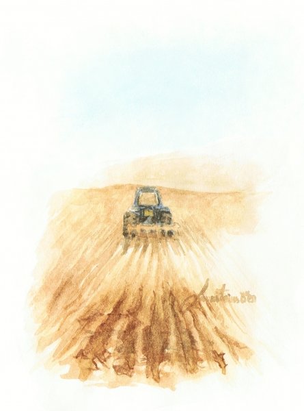 Melechet Choresh, 2010