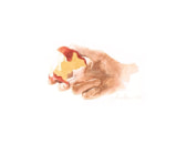 Bitten red apple, 2014